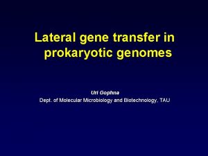 Lateral gene transfer in prokaryotic genomes Uri Gophna