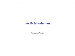 Les chinodermes Emmanuel Bernier Les chinodermes situation phylogntique