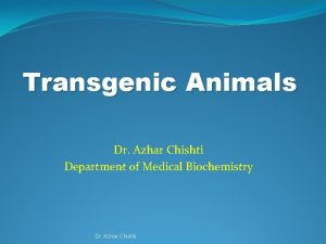 Transgenic Animals Dr Azhar Chishti Department of Medical