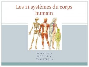 Les 11 systmes du corps humain SCIENCES 8