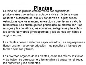 Plantas El reino de las plantas est formado