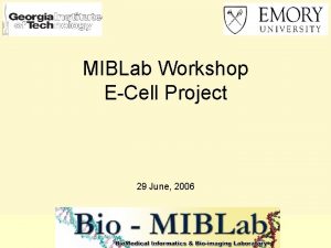 MIBLab Workshop ECell Project 29 June 2006 ECell