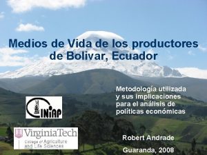 Medios de Vida de los productores de Bolivar