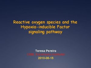 Reactive oxygen species and the Hypoxiainducible Factor signaling