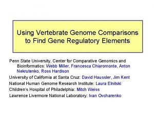 Using Vertebrate Genome Comparisons to Find Gene Regulatory