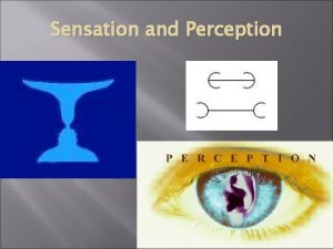 Sensation and Perception Sensation vs perception Watch carefully