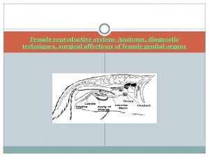 Female reproductive system Anatomy diagnostic techniques surgical affections