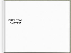 SKELETAL SYSTEM Functions of the Skeletal System Bones