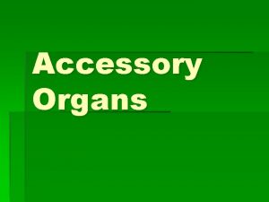 Accessory Organs Accessory Organs Not part of the