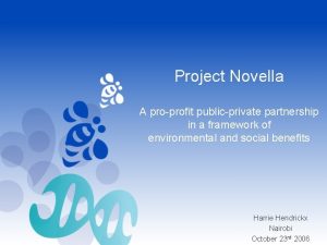 Project Novella A proprofit publicprivate partnership in a