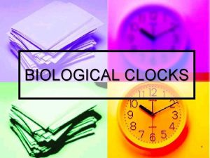 BIOLOGICAL CLOCKS 1 Biological timing responses n All