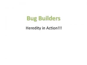 Bug Builders Heredity in Action Dad Mom Table