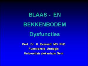 BLAAS EN BEKKENBODEM Dysfuncties Prof Dr K Everaert