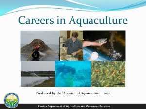 Careers in Aquaculture Produced by the Division of