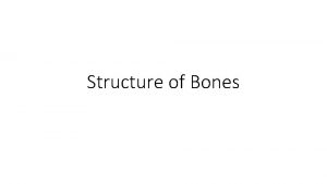 Structure of Bones Structure of Bone Long bone
