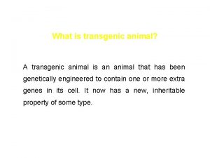 What is transgenic animal A transgenic animal is
