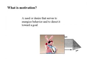 What is motivation A need or desire that