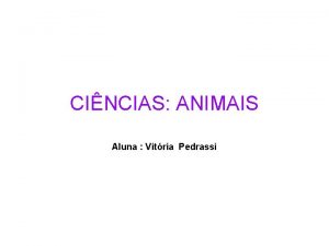 CINCIAS ANIMAIS Aluna Vitria Pedrassi Mamferos No grupo