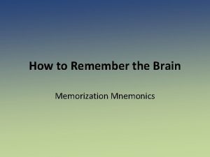 How to Remember the Brain Memorization Mnemonics The