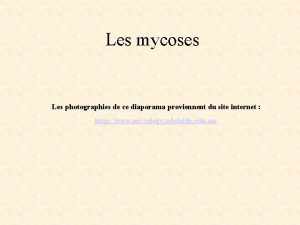 Les mycoses Les photographies de ce diaporama proviennent