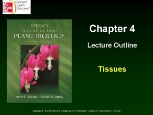 Chapter 4 Lecture Outline Tissues Copyright The Mc