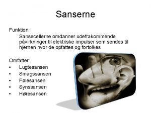 Sanserne Funktion Sansecellerne omdanner udefrakommende pvirkninger til elektriske