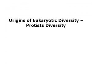 Origins of Eukaryotic Diversity Protists Diversity Rodophyta Red