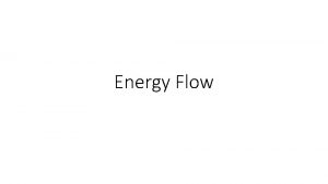Energy Flow Sunlight is the main source of