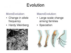 Evolution Micro Evolution Change in allele frequency Hardy