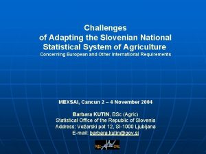 Challenges of Adapting the Slovenian National Statistical System