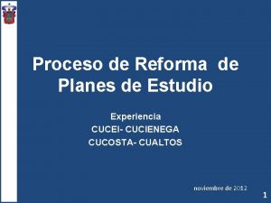 Proceso de Reforma de Planes de Estudio Experiencia