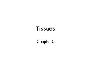 Tissues Chapter 5 Tissues A tissue is a