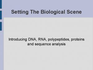 Setting The Biological Scene Introducing DNA RNA polypeptides