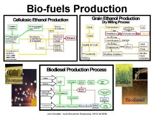 Biofuels Production Biomass Canola Biodiesel Ethanol John Nowatzki