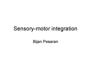 Sensorymotor integration Bijan Pesaran Visual response in PMv