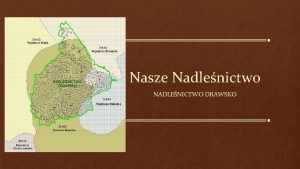 Nasze Nadlenictwo NADLENICTWO DRAWSKO ZAPROSZENIE Tam gdzie powietrze