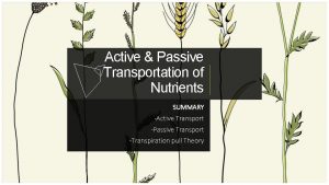 Active Passive Transportation of Nutrients SUMMARY Active Transport