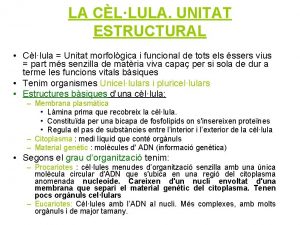 LA CLLULA UNITAT ESTRUCTURAL Cllula Unitat morfolgica i