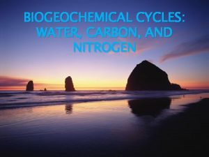 BIOGEOCHEMICAL CYCLES WATER CARBON AND NITROGEN The Water