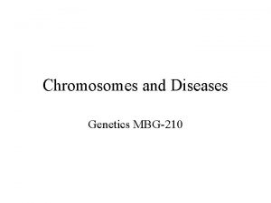 Chromosomes and Diseases Genetics MBG210 How many chromosomes