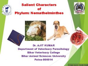 Salient Characters of Phylum Nemathelminthes Dr AJIT KUMAR