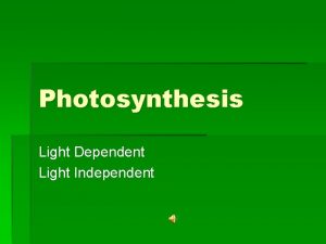 Photosynthesis Light Dependent Light Independent definition Photosynthesis is