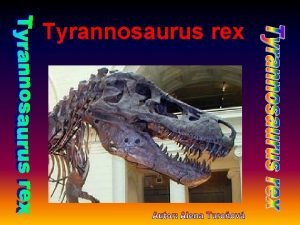 Tyrannosaurus rex Tyrannosaurus rex jako krut jetr byl