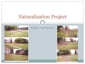 Naturalization Project WORK CONTINUES Creating the Outdoor Classroom