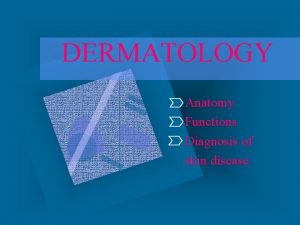 DERMATOLOGY Anatomy Functions Diagnosis of skin disease SKIN