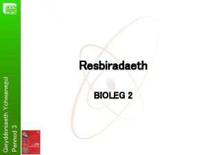 Gwyddoniaeth Ychwanegol Pennod 3 Resbiradaeth BIOLEG 2 Rhyddhau