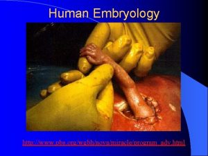 Human Embryology http www pbs orgwgbhnovamiracleprogramadv html Recommended