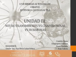 UNIVERSIDAD AUTONOMA DE CHIAPAS EXTENSION OCOZOCOAUTLA UNIDAD III