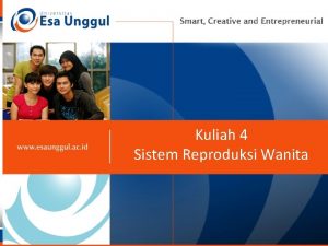 Kuliah 4 Exercise 31 Sistem Reproduksi Wanita AP