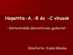 HepatitisA B s C vrusok Gntechnikk laboratriumi gyakorlat